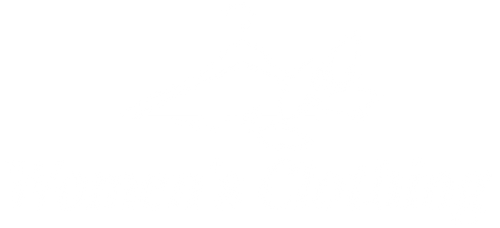 Women's Clothing